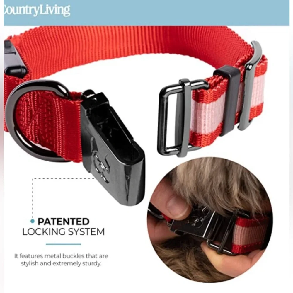 Country Living by Silver Paw Light Up Dog Collars, LED USB Rechargeable M